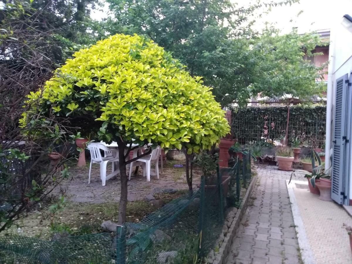 Villetta Stella Cecina  Exteriér fotografie
