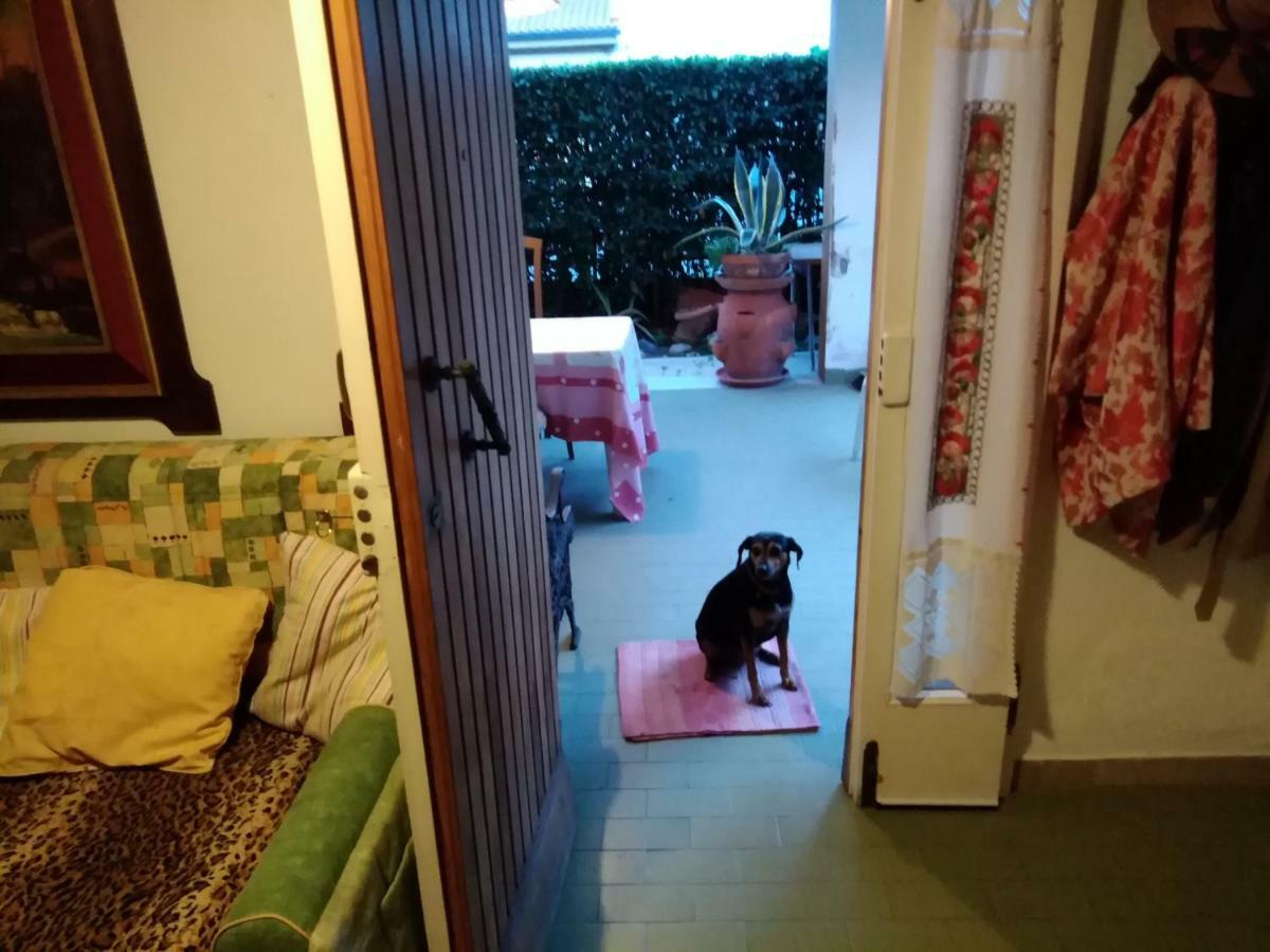 Villetta Stella Cecina  Exteriér fotografie